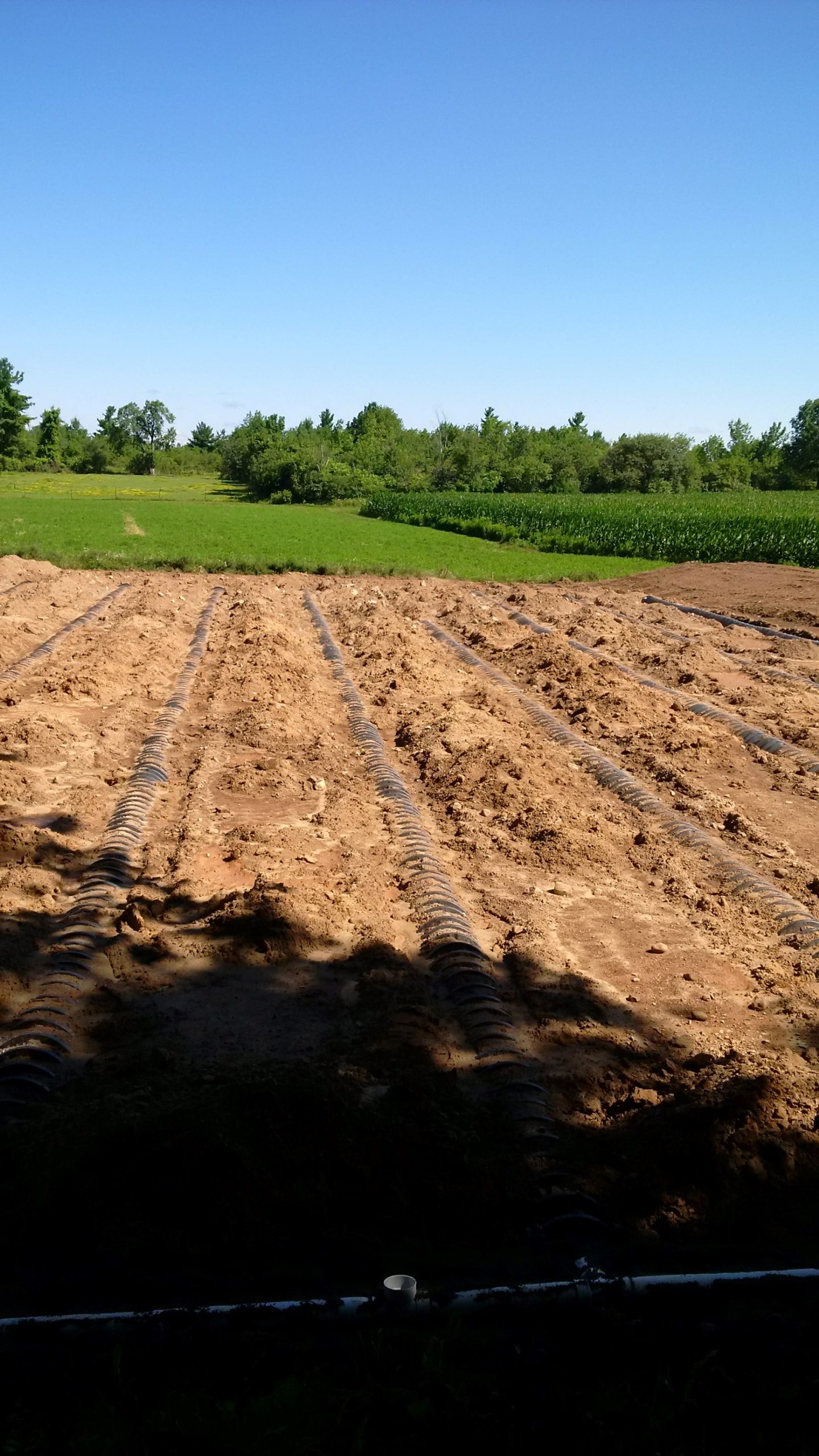 Alpha Ex prepares septic bed with leaching chambers for topsoil cover in Millgrove